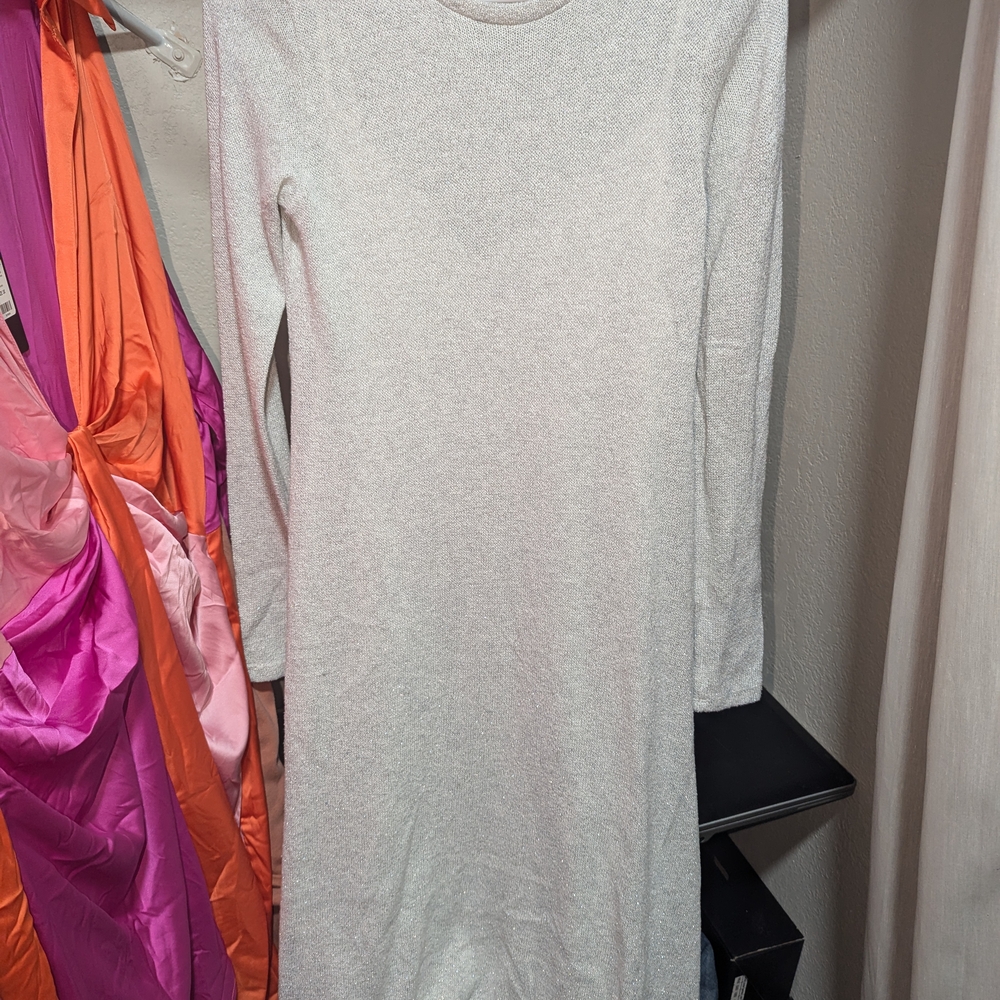 Zara Silver Sheath Maxi Dress Long Sleeve Crew Neck